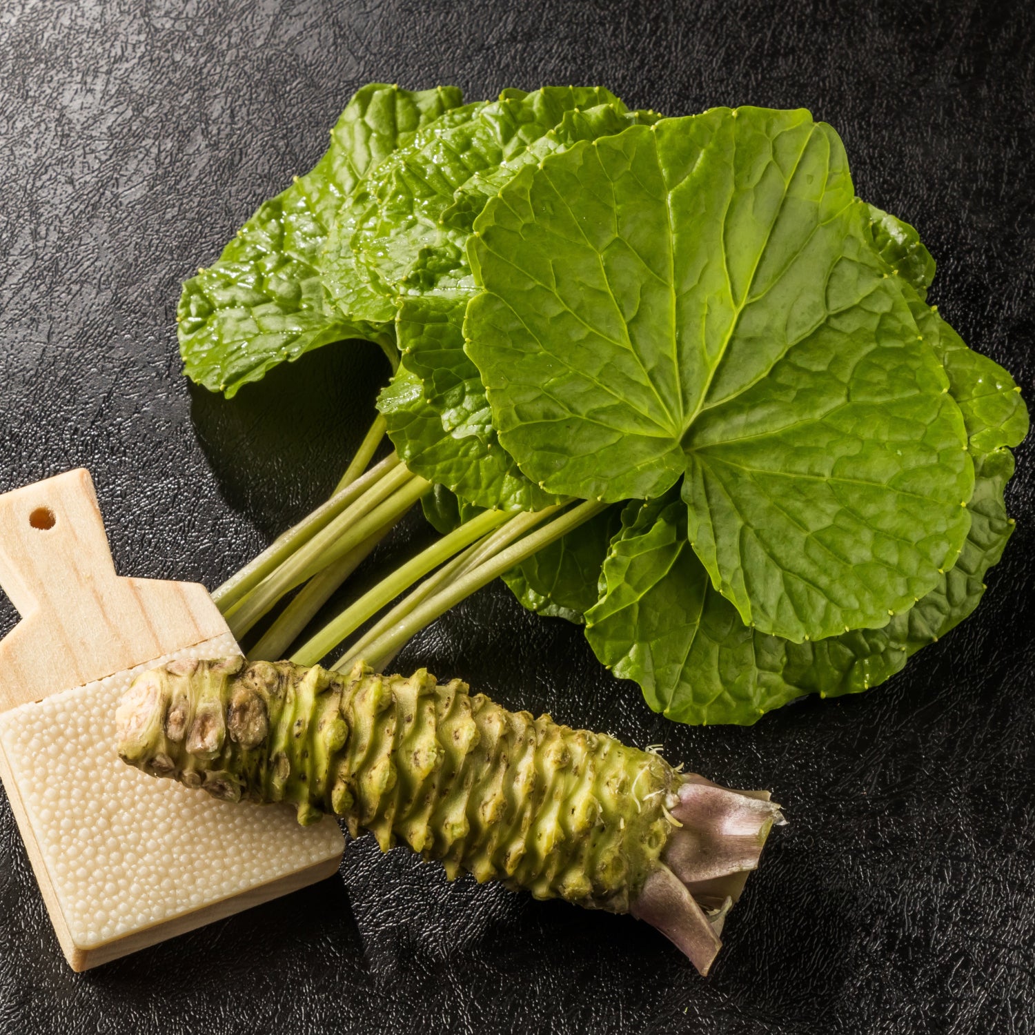 Wasabi